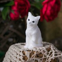 кошка-бел
