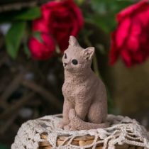 кошка-кор