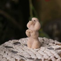 пудель-маленький-кор