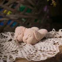тапки-собачки-кор