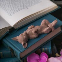 чихуахуа-лежит-кор